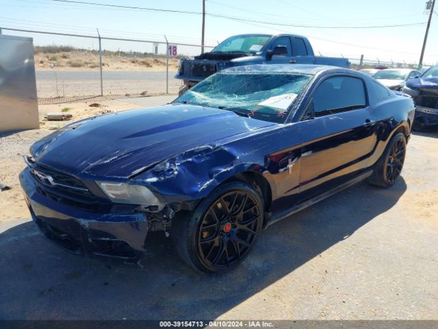 Photo 1 VIN: 1ZVBP8AMXC5282219 - FORD MUSTANG 