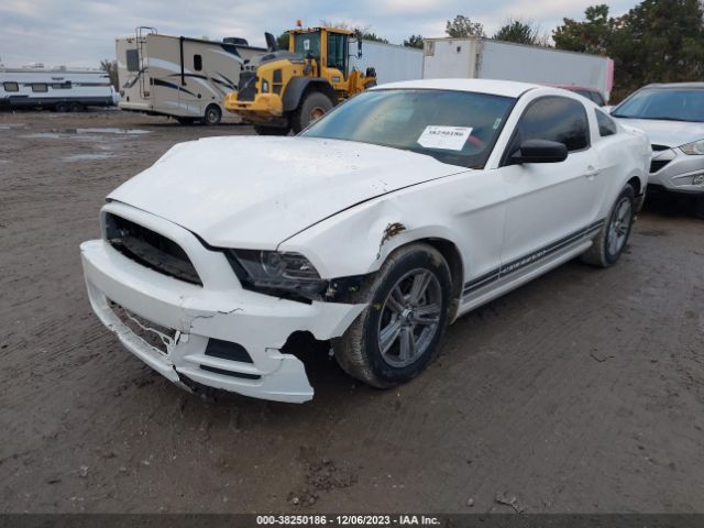 Photo 1 VIN: 1ZVBP8AMXD5215508 - FORD MUSTANG 