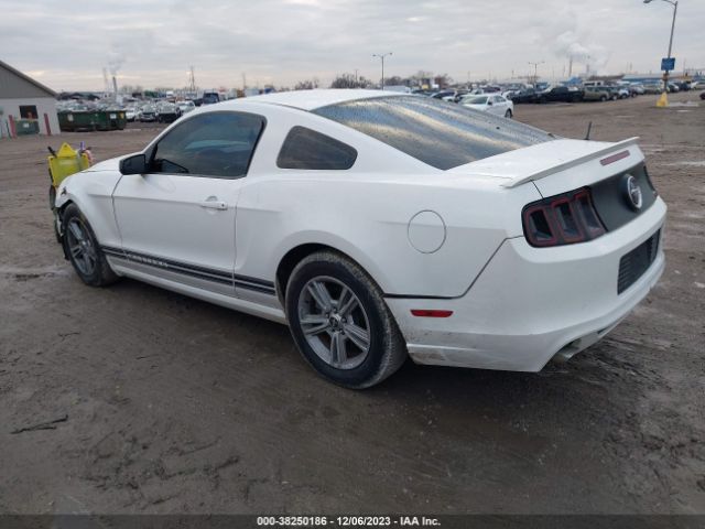 Photo 2 VIN: 1ZVBP8AMXD5215508 - FORD MUSTANG 