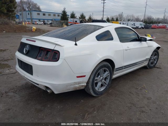 Photo 3 VIN: 1ZVBP8AMXD5215508 - FORD MUSTANG 