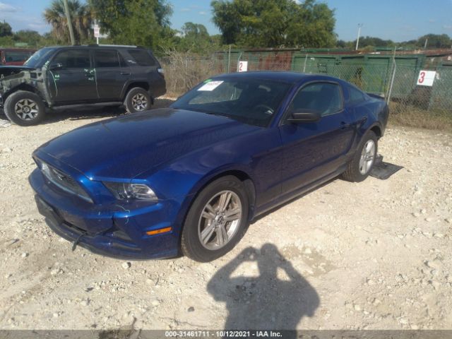 Photo 1 VIN: 1ZVBP8AMXD5228081 - FORD MUSTANG 