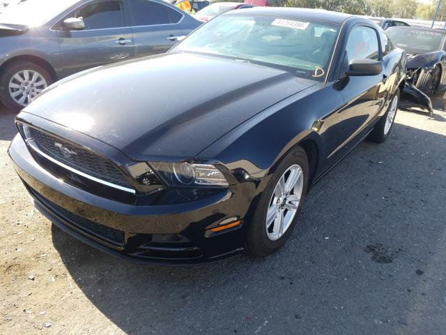 Photo 1 VIN: 1ZVBP8AMXD5236374 - FORD MUSTANG 