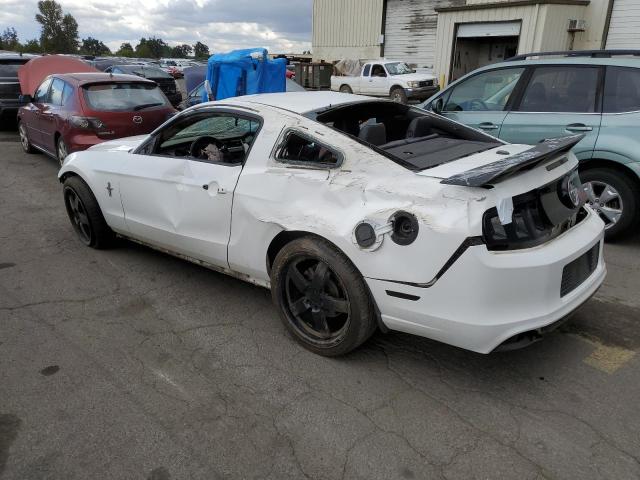 Photo 1 VIN: 1ZVBP8AMXD5236388 - FORD MUSTANG 