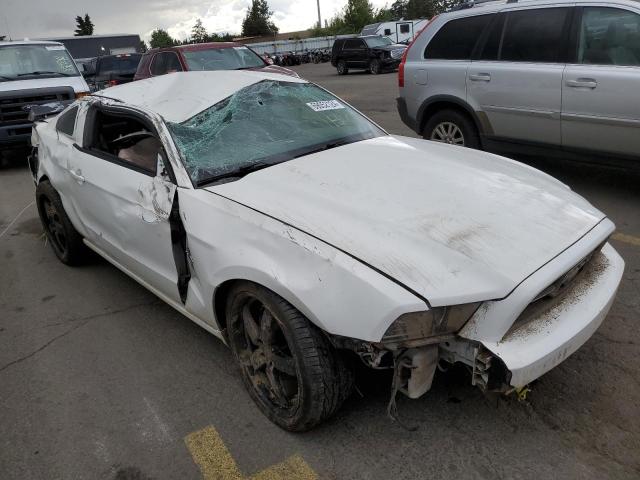 Photo 3 VIN: 1ZVBP8AMXD5236388 - FORD MUSTANG 