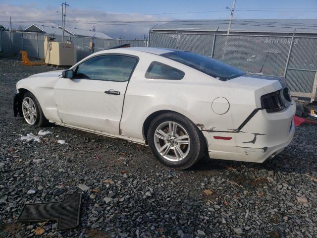 Photo 1 VIN: 1ZVBP8AMXD5248444 - FORD MUSTANG 