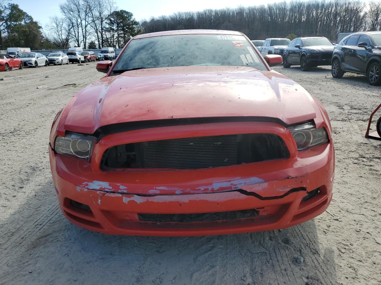 Photo 4 VIN: 1ZVBP8AMXD5250193 - FORD MUSTANG 