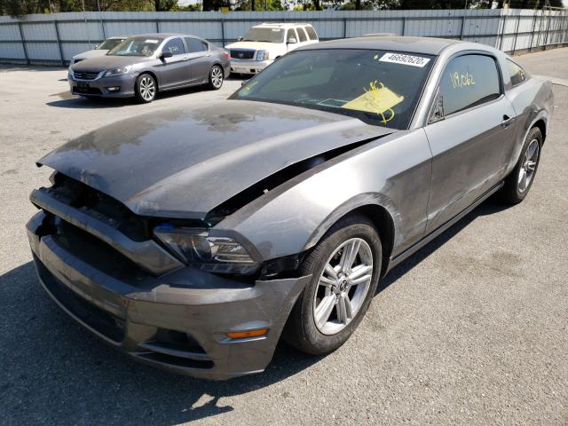 Photo 1 VIN: 1ZVBP8AMXD5269651 - FORD MUSTANG 