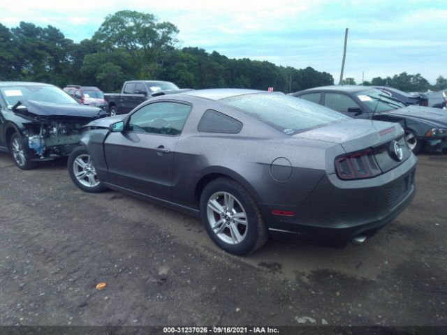 Photo 2 VIN: 1ZVBP8AMXD5280729 - FORD MUSTANG 