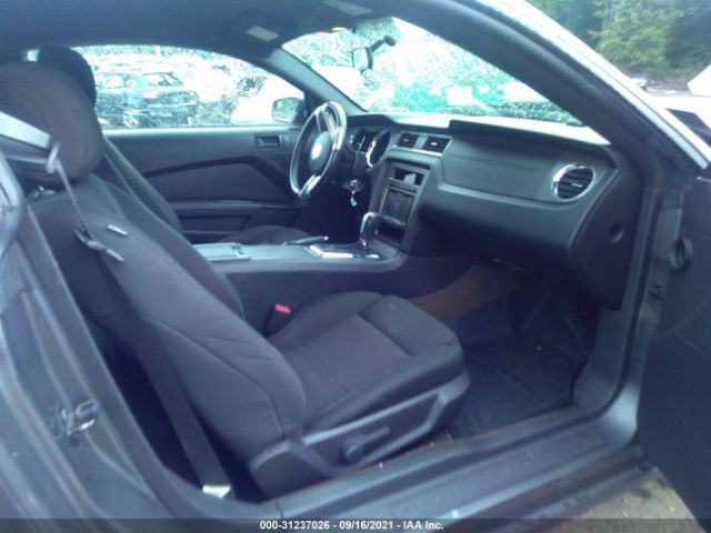 Photo 4 VIN: 1ZVBP8AMXD5280729 - FORD MUSTANG 