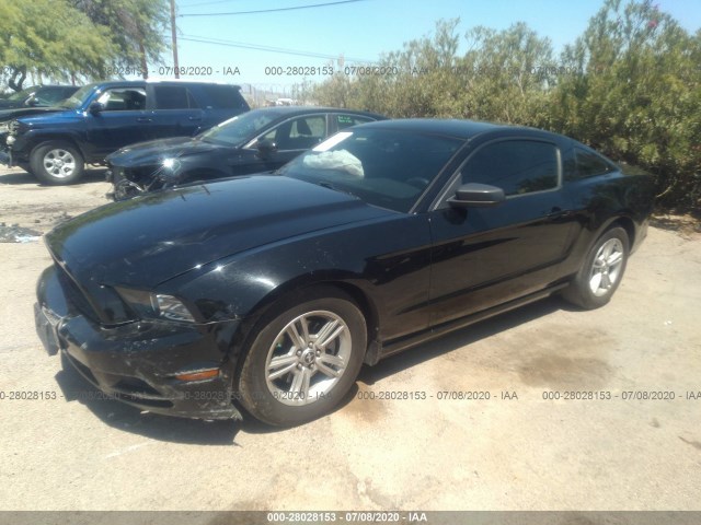 Photo 1 VIN: 1ZVBP8AMXE5205112 - FORD MUSTANG 