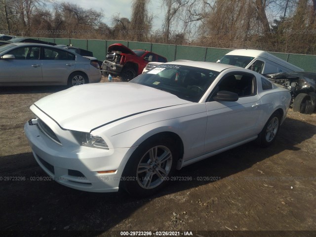 Photo 1 VIN: 1ZVBP8AMXE5214408 - FORD MUSTANG 