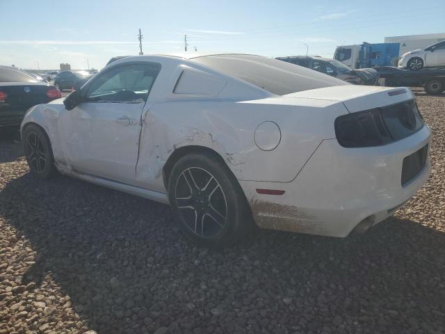 Photo 1 VIN: 1ZVBP8AMXE5238269 - FORD MUSTANG 