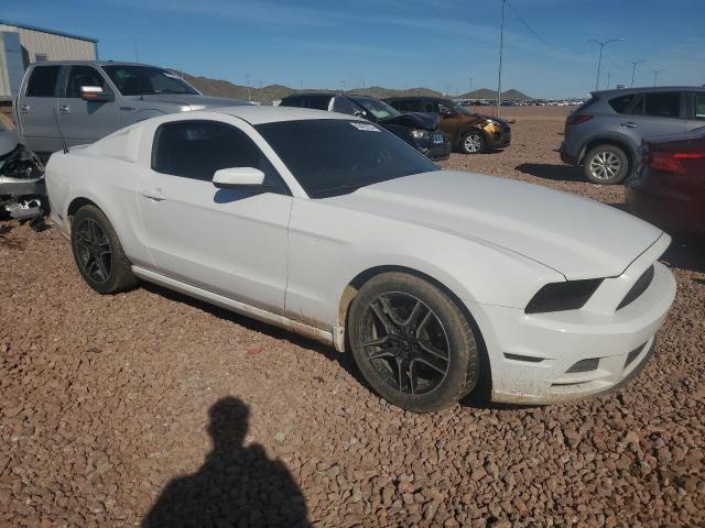 Photo 3 VIN: 1ZVBP8AMXE5238269 - FORD MUSTANG 