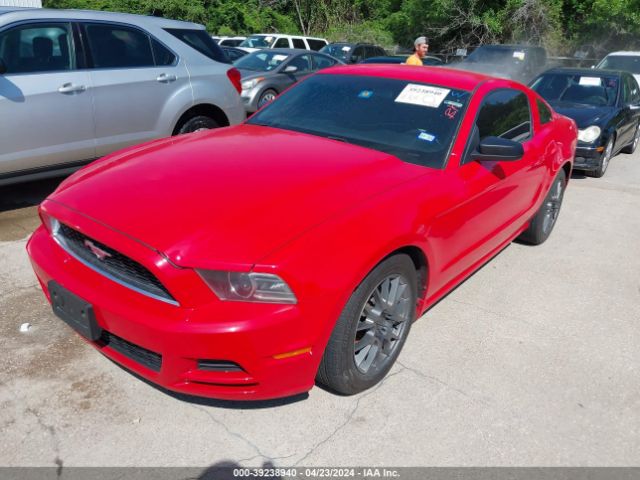 Photo 1 VIN: 1ZVBP8AMXE5239602 - FORD MUSTANG 