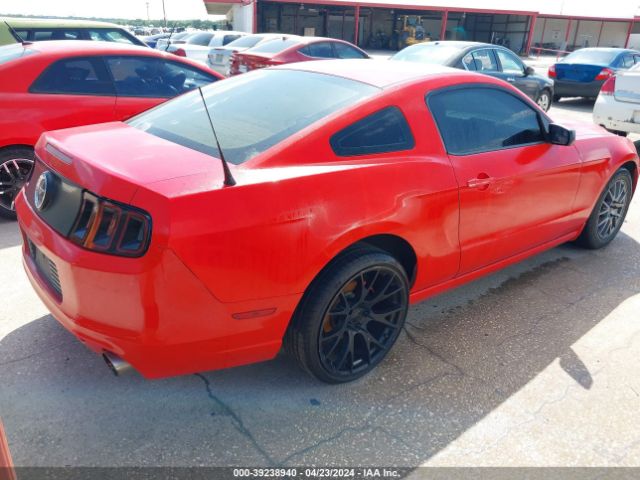 Photo 3 VIN: 1ZVBP8AMXE5239602 - FORD MUSTANG 