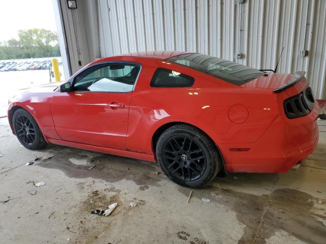 Photo 1 VIN: 1ZVBP8AMXE5242094 - FORD MUSTANG 