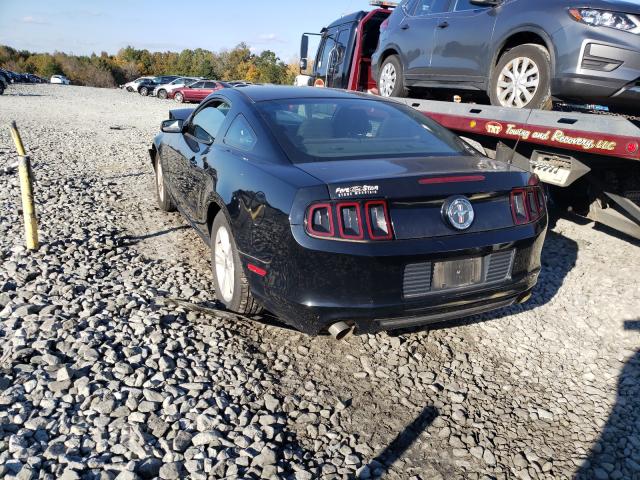 Photo 2 VIN: 1ZVBP8AMXE5251040 - FORD MUSTANG 