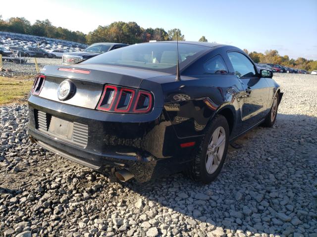 Photo 3 VIN: 1ZVBP8AMXE5251040 - FORD MUSTANG 