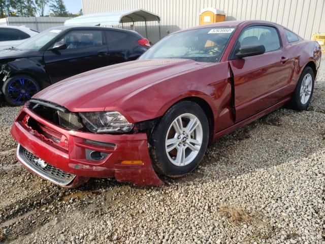 Photo 1 VIN: 1ZVBP8AMXE5258019 - FORD MUSTANG 