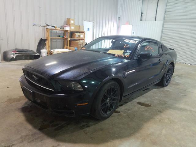 Photo 1 VIN: 1ZVBP8AMXE5259154 - FORD MUSTANG 