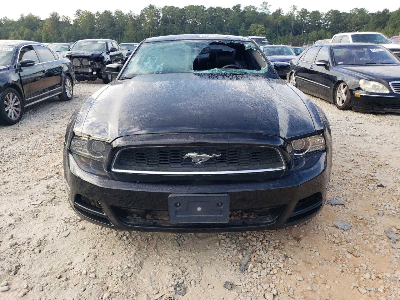 Photo 4 VIN: 1ZVBP8AMXE5260272 - FORD MUSTANG 