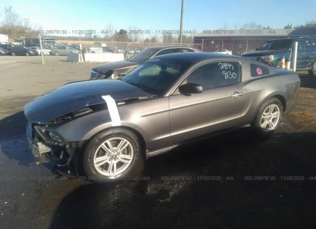 Photo 1 VIN: 1ZVBP8AMXE5260742 - FORD MUSTANG 