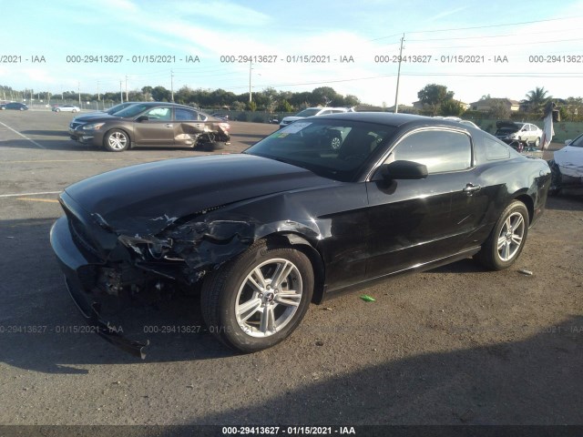 Photo 1 VIN: 1ZVBP8AMXE5271837 - FORD MUSTANG 