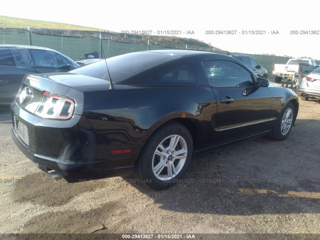 Photo 3 VIN: 1ZVBP8AMXE5271837 - FORD MUSTANG 