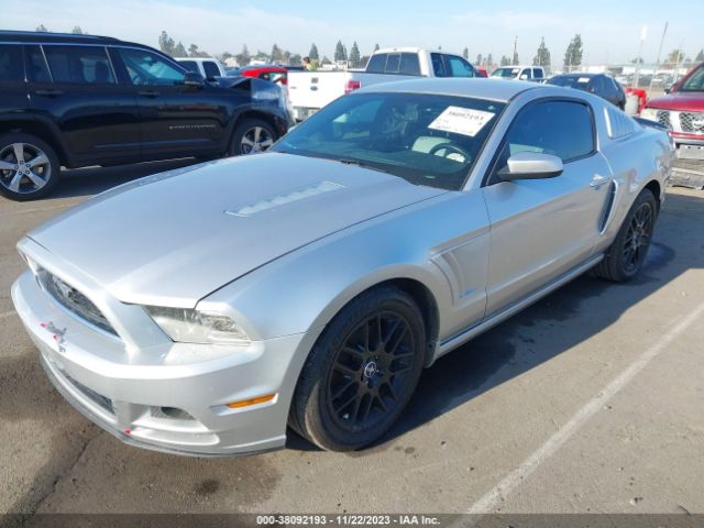 Photo 1 VIN: 1ZVBP8AMXE5278738 - FORD MUSTANG 