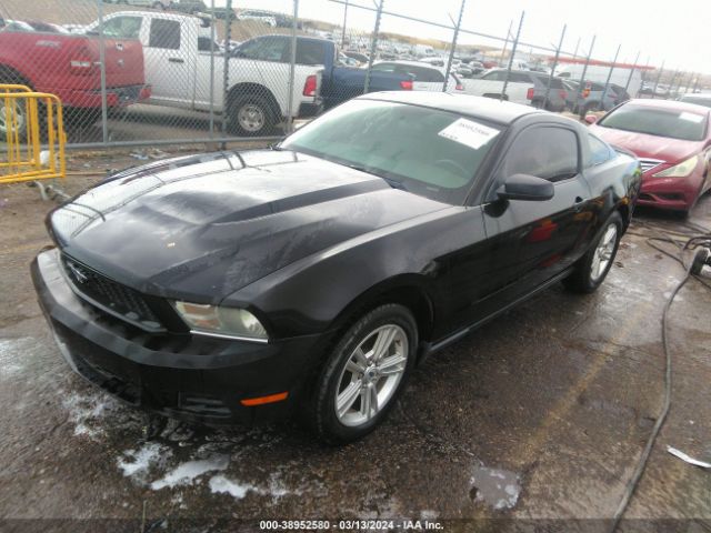 Photo 1 VIN: 1ZVBP8AMXE5288931 - FORD MUSTANG 