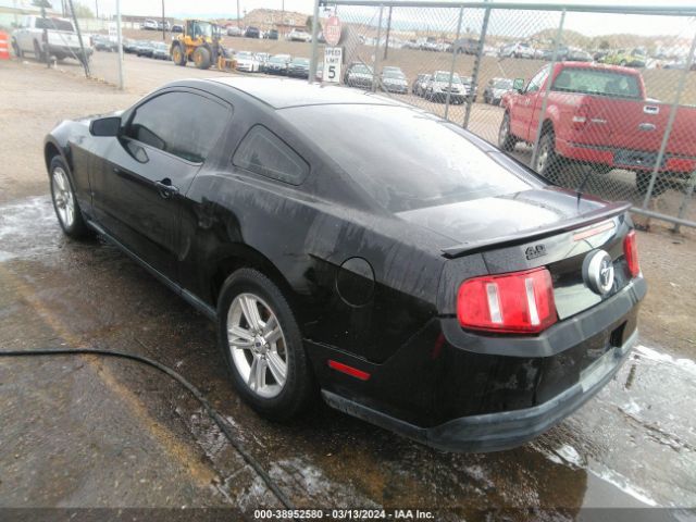 Photo 2 VIN: 1ZVBP8AMXE5288931 - FORD MUSTANG 