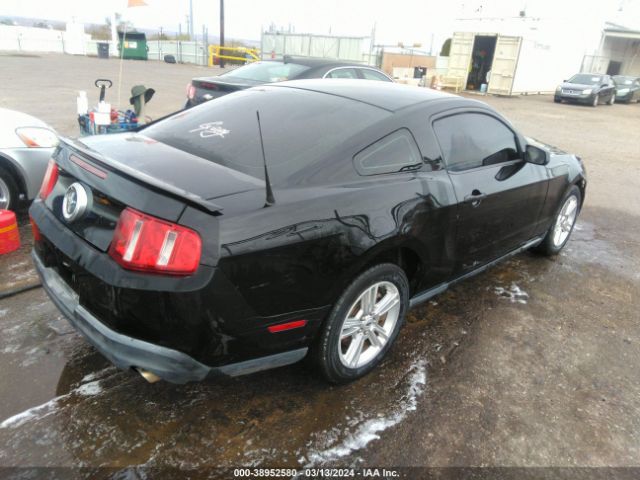 Photo 3 VIN: 1ZVBP8AMXE5288931 - FORD MUSTANG 