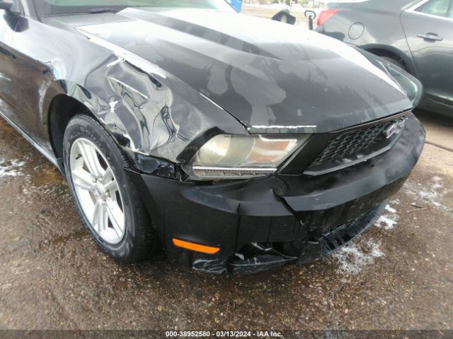 Photo 5 VIN: 1ZVBP8AMXE5288931 - FORD MUSTANG 