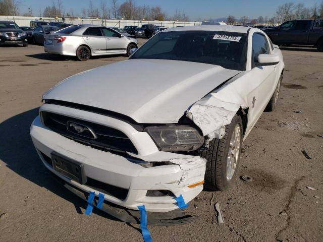 Photo 1 VIN: 1ZVBP8AMXE5288976 - FORD MUSTANG 