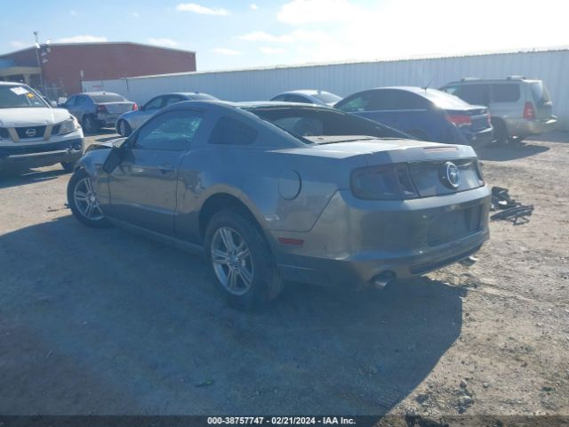 Photo 2 VIN: 1ZVBP8AMXE5298164 - FORD MUSTANG 