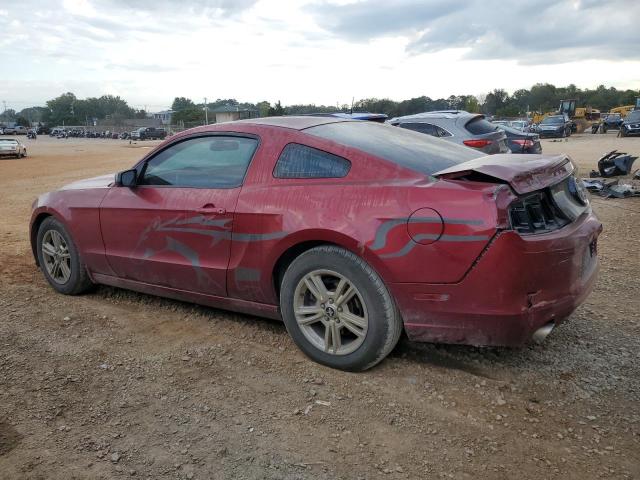 Photo 1 VIN: 1ZVBP8AMXE5298553 - FORD MUSTANG 