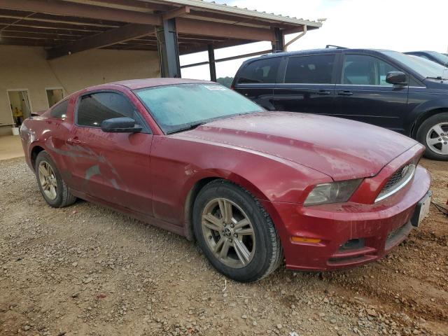 Photo 3 VIN: 1ZVBP8AMXE5298553 - FORD MUSTANG 