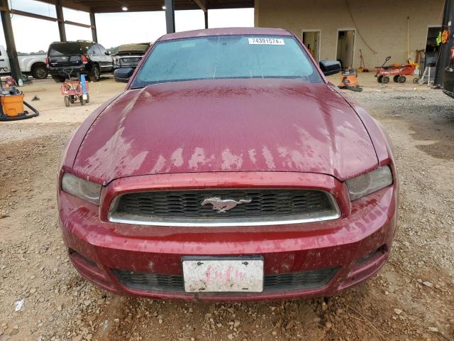 Photo 4 VIN: 1ZVBP8AMXE5298553 - FORD MUSTANG 