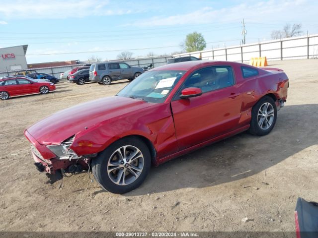 Photo 1 VIN: 1ZVBP8AMXE5304027 - FORD MUSTANG 