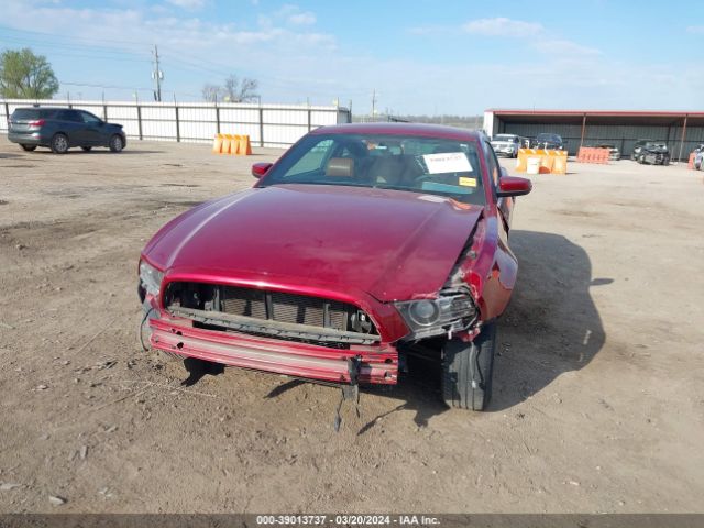 Photo 5 VIN: 1ZVBP8AMXE5304027 - FORD MUSTANG 