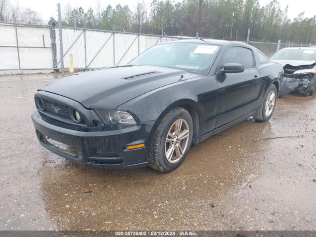 Photo 1 VIN: 1ZVBP8AMXE5305632 - FORD MUSTANG 