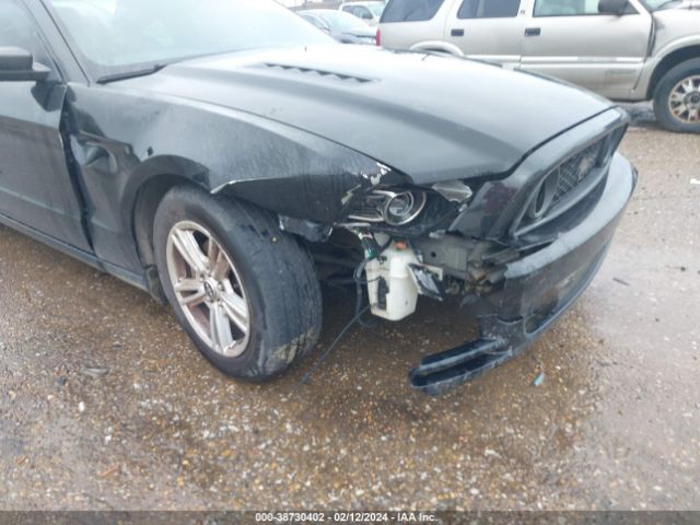 Photo 5 VIN: 1ZVBP8AMXE5305632 - FORD MUSTANG 