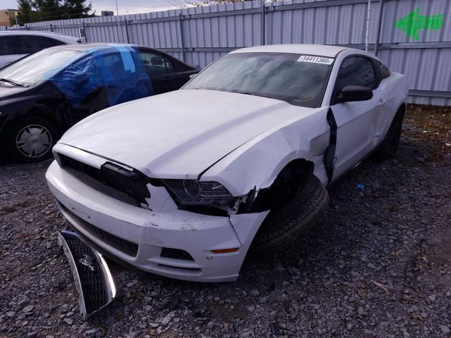 Photo 1 VIN: 1ZVBP8AMXE5323614 - FORD MUSTANG 