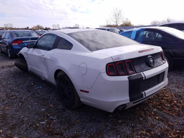 Photo 2 VIN: 1ZVBP8AMXE5323614 - FORD MUSTANG 