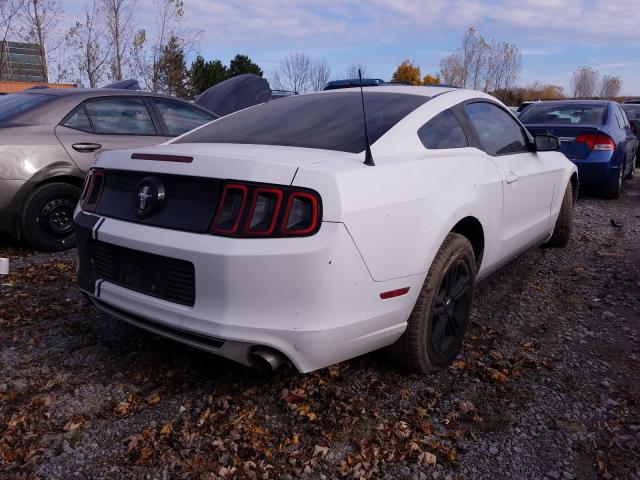 Photo 3 VIN: 1ZVBP8AMXE5323614 - FORD MUSTANG 