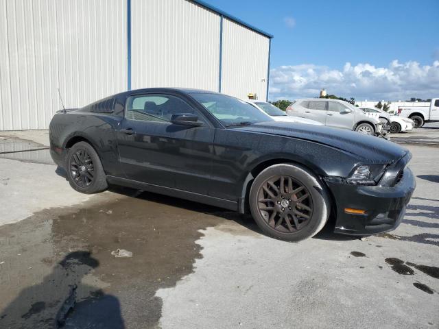 Photo 3 VIN: 1ZVBP8AMXE5324584 - FORD MUSTANG 