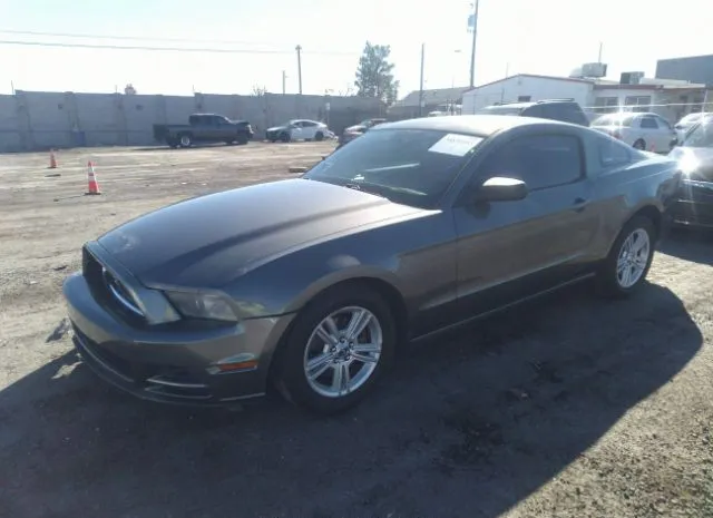 Photo 1 VIN: 1ZVBP8AMXE5327890 - FORD MUSTANG 