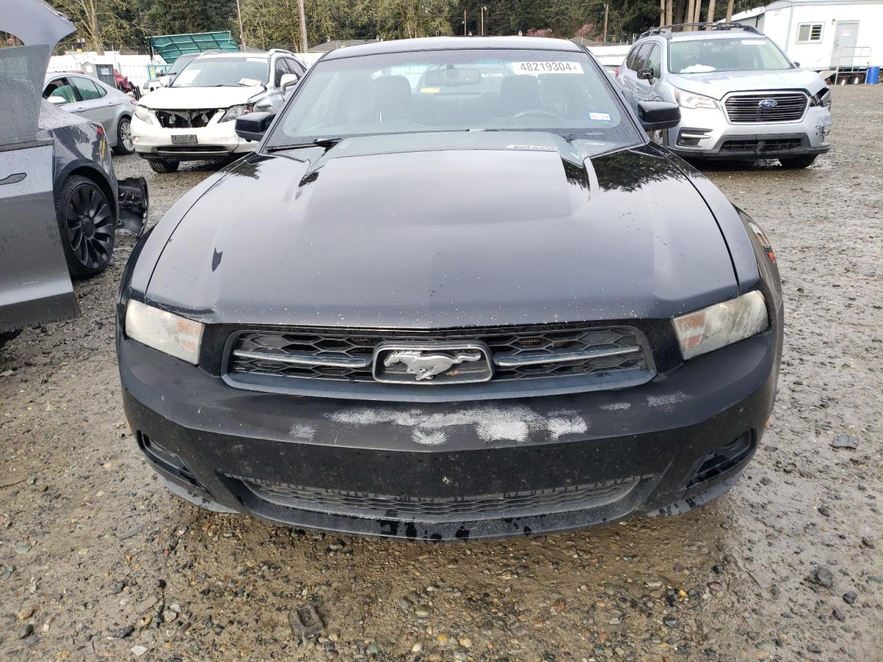 Photo 4 VIN: 1ZVBP8AN0A5105328 - FORD MUSTANG 