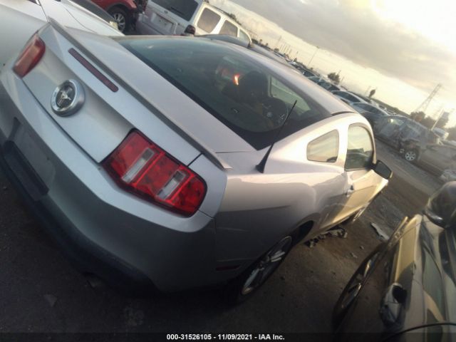 Photo 3 VIN: 1ZVBP8AN0A5130861 - FORD MUSTANG 