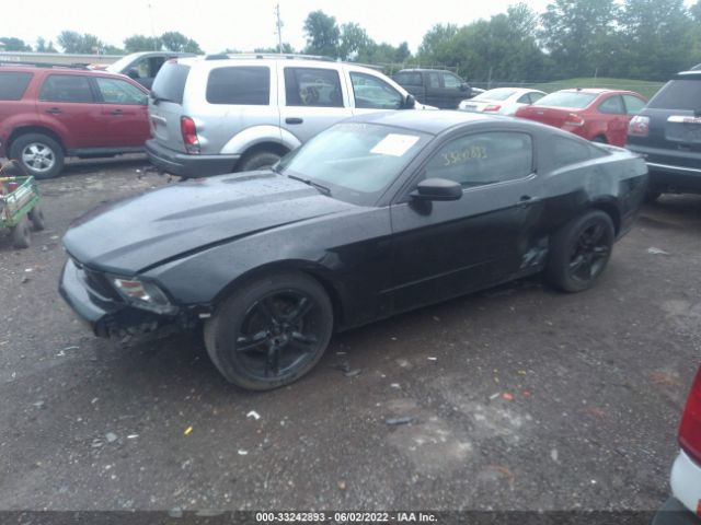 Photo 1 VIN: 1ZVBP8AN0A5141388 - FORD MUSTANG 